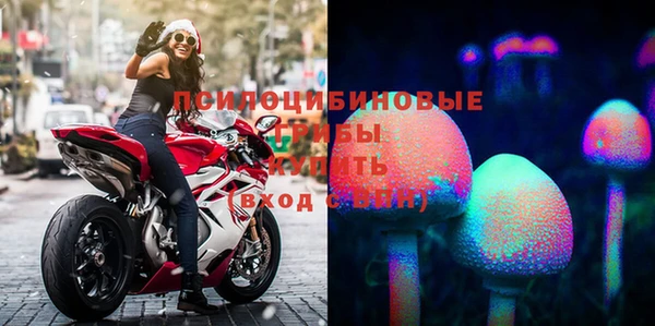 прущая мука Армянск