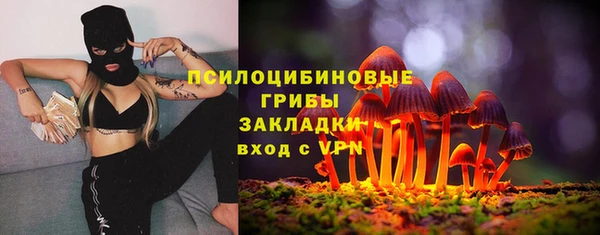 прущая мука Армянск